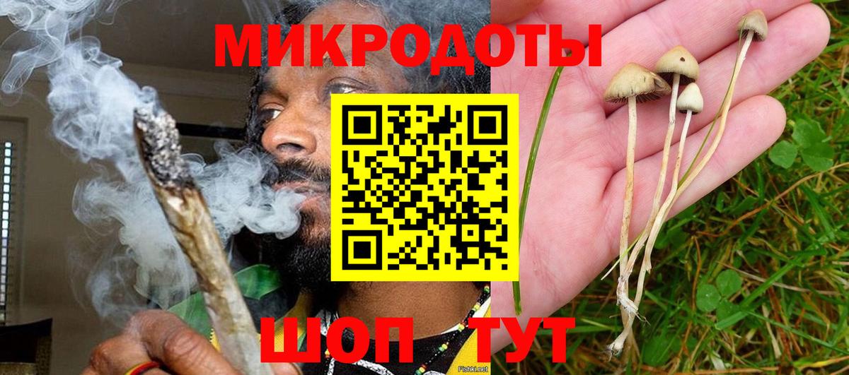 Галлюциногенные грибы прущие грибы Гудермес