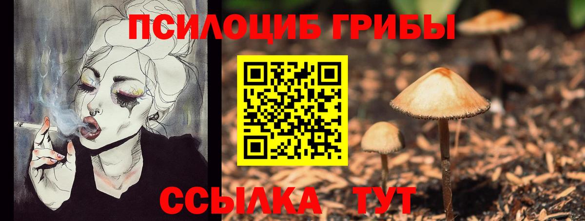 Галлюциногенные грибы мицелий  Вход с VPN  Гудермес 